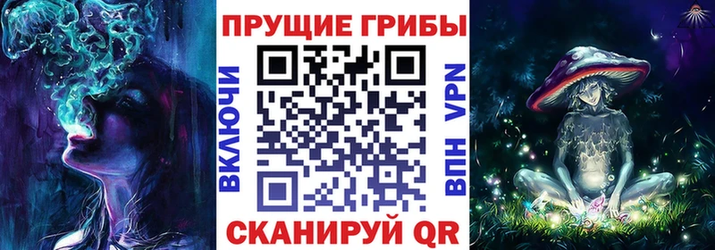 MEGA Мегион Псилоцибиновые грибы Cubensis